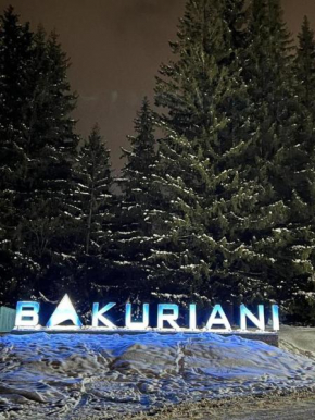 Bakuriani MIX 401G